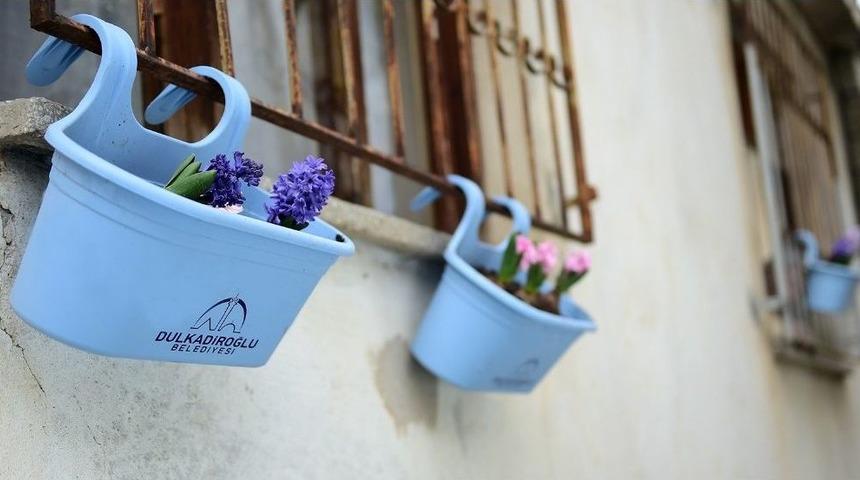 Dulkadiroğlu&rsquo;nda Balkonlar &Ccedil;i&ccedil;ek A&ccedil;tı