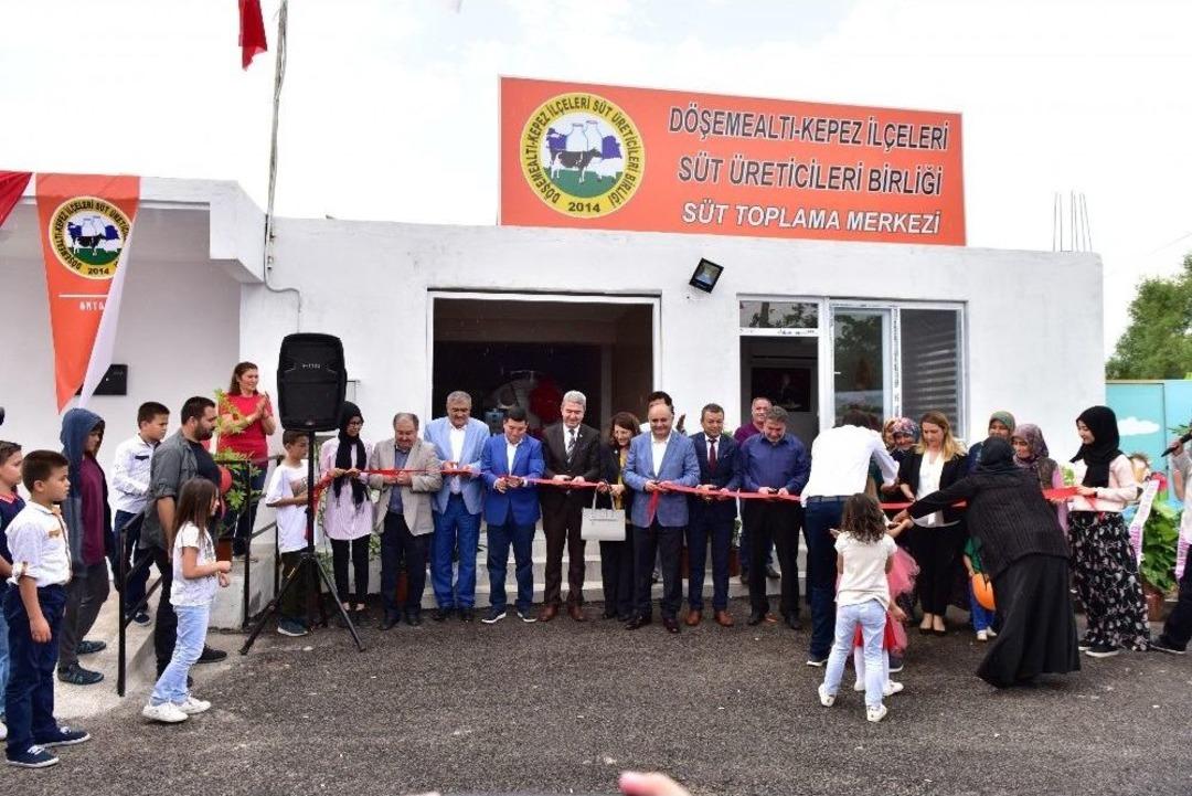 Kepez&rsquo;de En G&uuml;zel Buzağı Se&ccedil;ildi