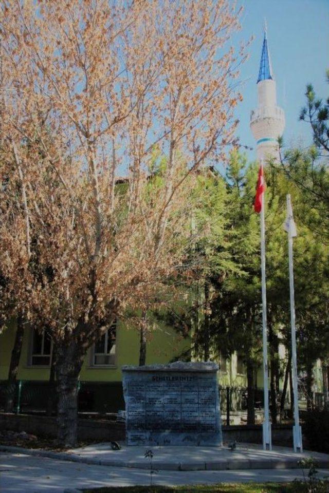 Cami G&ouml;lgesinde Şehitlik Anıtı 1