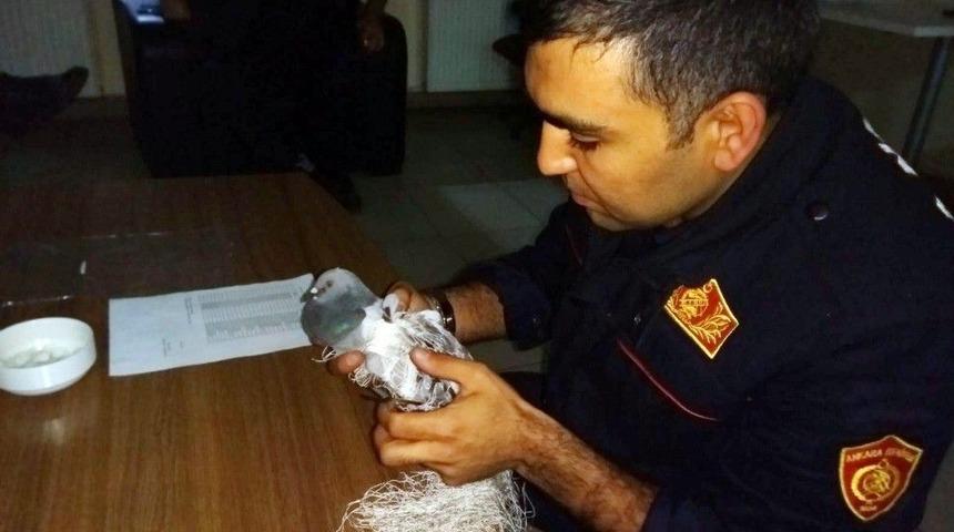 Fileye Takılan G&uuml;vercini İtfaiye Kurtardı