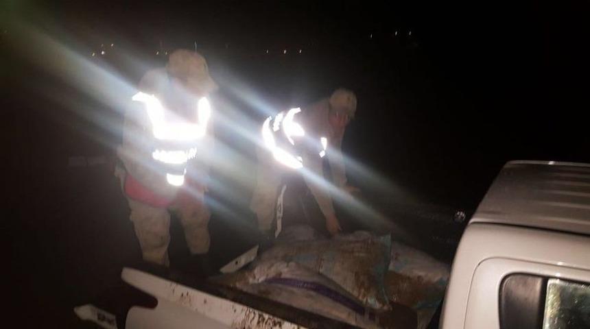 Van&rsquo;da Ka&ccedil;ak Avlanmış Bir Ton Balık Ele Ge&ccedil;irildi