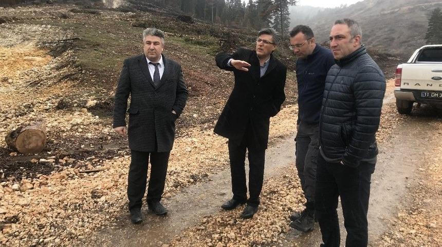 Sofular Yaylası&rsquo;na 20 Bin Sarı &Ccedil;am Fidanı Dikilecek