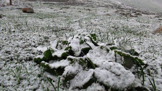 Rize’de Mayıs Ayının Ortasında Kar Sürprizi