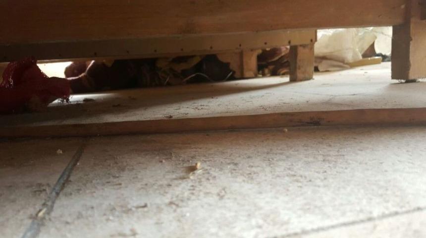 Tsk, Afrin&rsquo;de Tuzaklanan &Ccedil;ok Sayıda Patlayıcıları İmha Ediyor