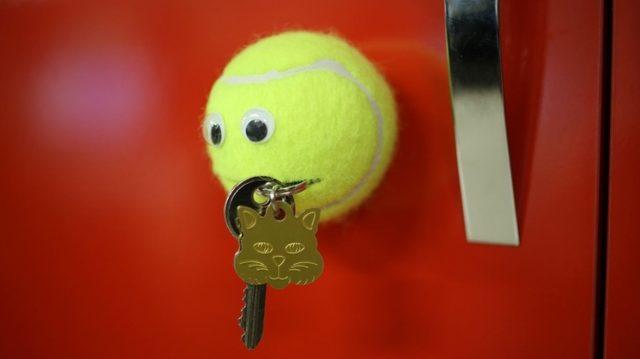 Dünyanın En Şirin ve Kullanışlı Tenis Topu! 5