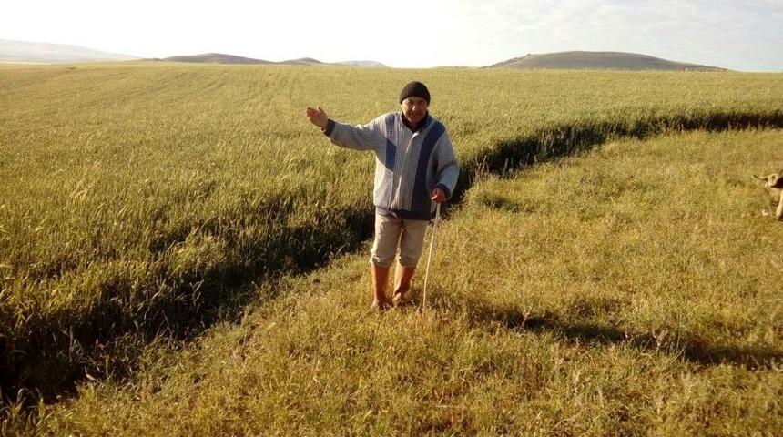 Sağanak Yağış K&ouml;yl&uuml;leri Sevindirdi