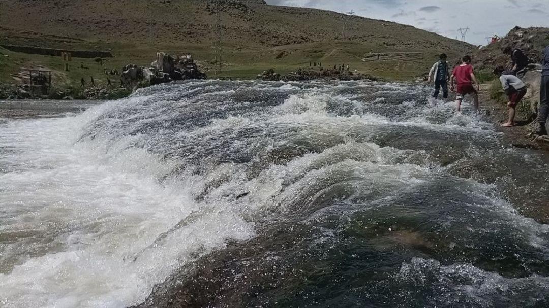U&ccedil;an Balıkların Muhteşem G&ouml;&ccedil;&uuml; Devam Ediyor