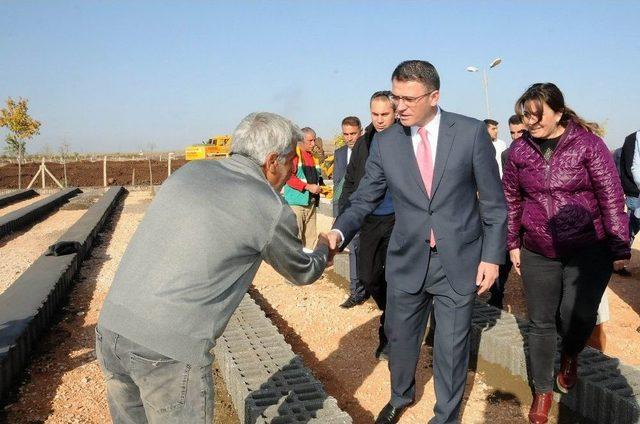 Başkan Balcı, Fidan Ve Mevsimlik Çiçek Projesi Çalışmalarını Denetledi