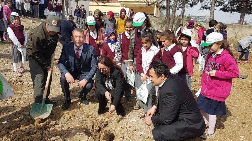 Vezirk&ouml;pr&uuml;&rsquo;de Orman Haftası&rsquo;nda G&ouml;l&rsquo;e Fidan Dikildi