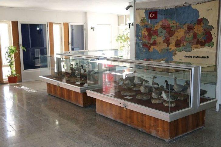 Koyunoğlu Müze Ve Kütüphanesi’ne Tarihi Kentler Birliği’nden Ödül G5