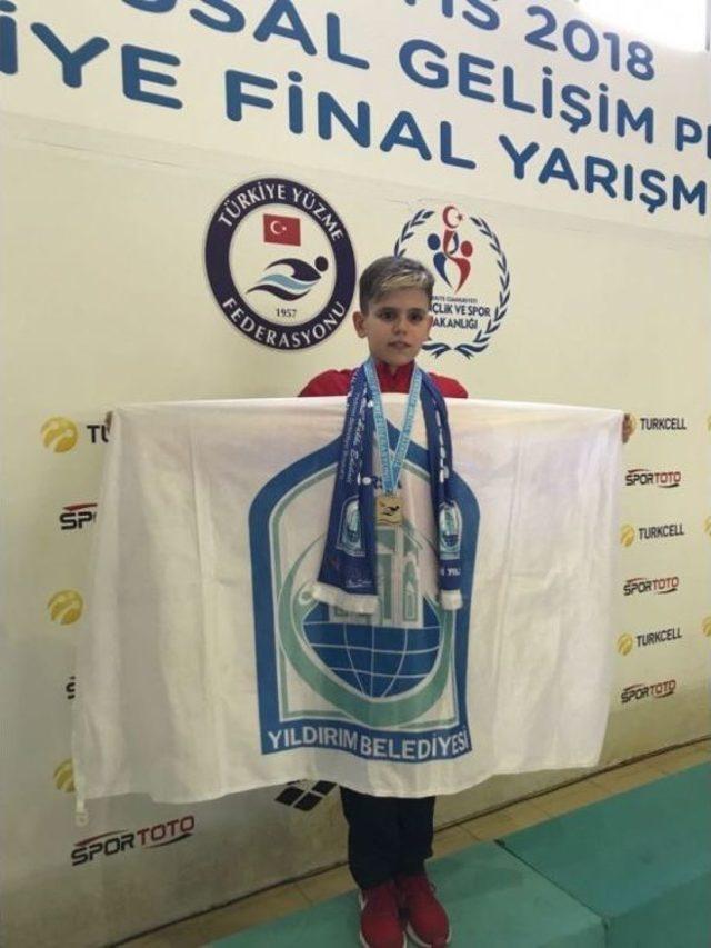 Yıldırımlı Sporcular Havuzdan Altınla Çıktı