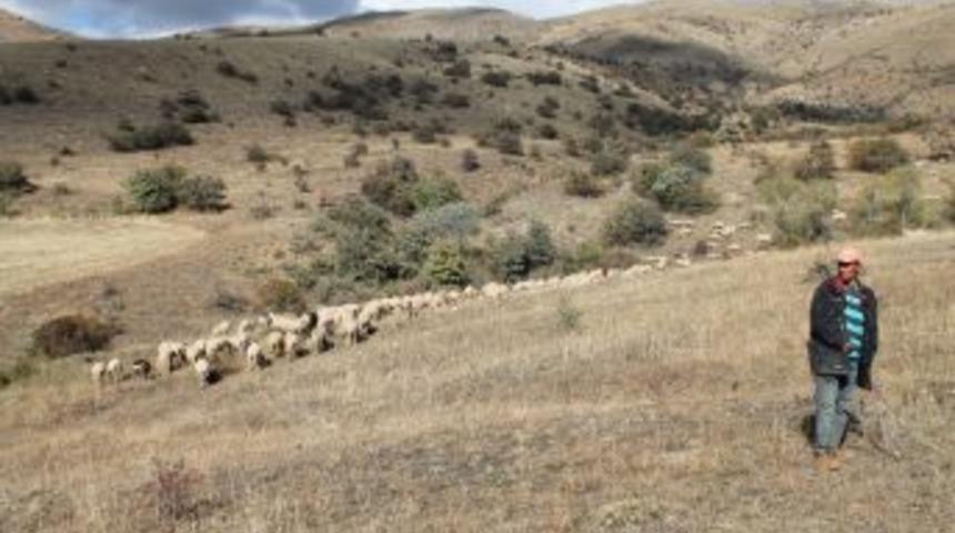 S&uuml;r&uuml; Y&ouml;netimi Elemanı Kursu A&ccedil;ılacak