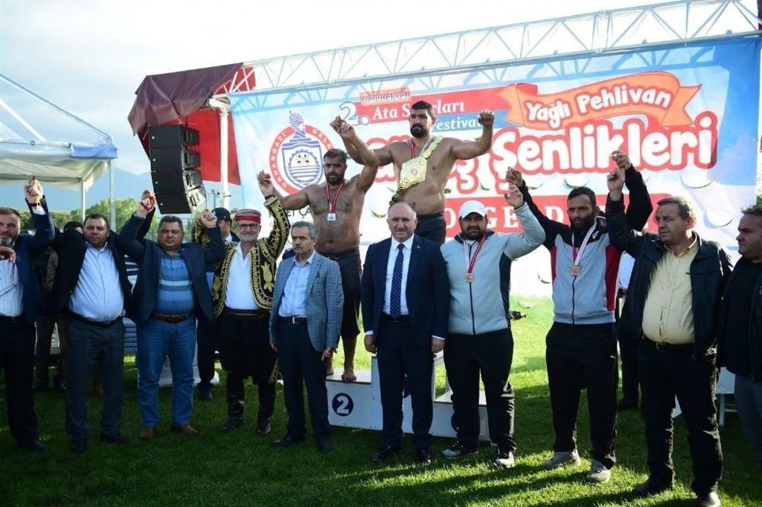 Orhangazi&rsquo;de Yağlı G&uuml;reş Şenliği