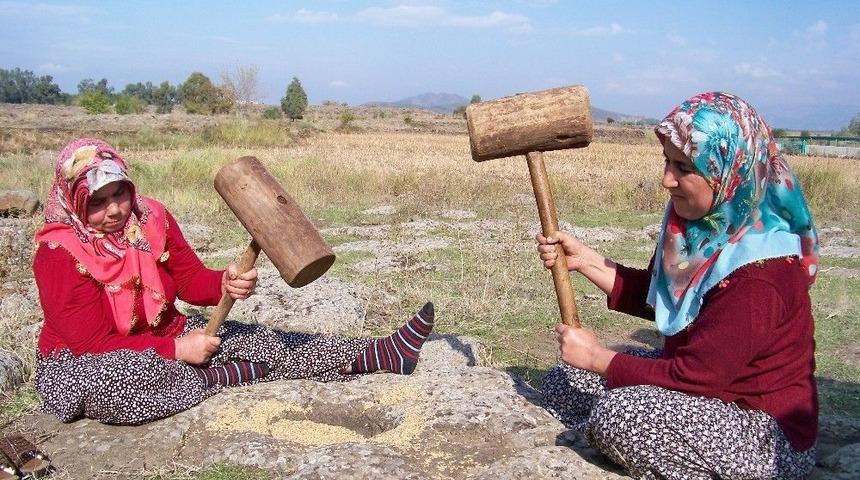 Hassa&rsquo;da &Ccedil;eltik Hasadı