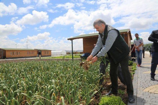 Organik Bahçe Sezonu Açıldı