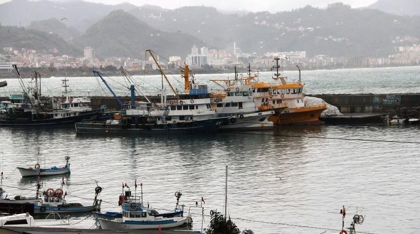 Soğuk Ve Fırtınalı Hava Hamsi Fiyatlarını Da U&ccedil;urdu