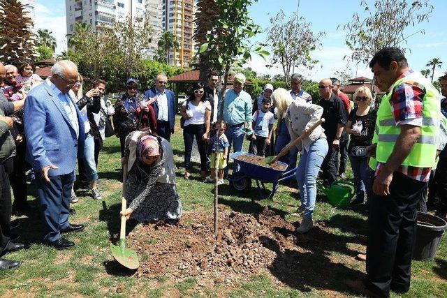 Sanatçı Ömür Gedik, Başkan Kocamaz İle Birlikte Ağaç Dikti