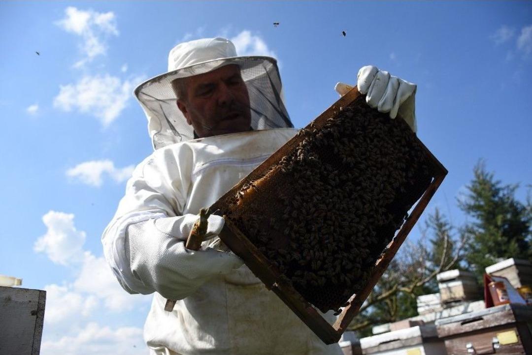 (&ouml;zel Haber) Tekirdağ Balı T&uuml;rkiye Birincisi, D&uuml;nya &Uuml;&ccedil;&uuml;nc&uuml;s&uuml;