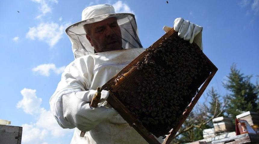 Arı Yetiştiricilerine Duyuru