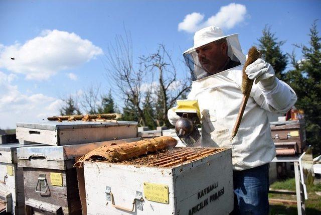 Arı Yetiştiricilerine Duyuru 1