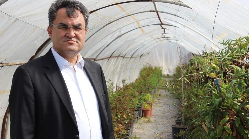 &Ccedil;ifteler G&uuml;ller İle Daha Da G&uuml;zelleşecek