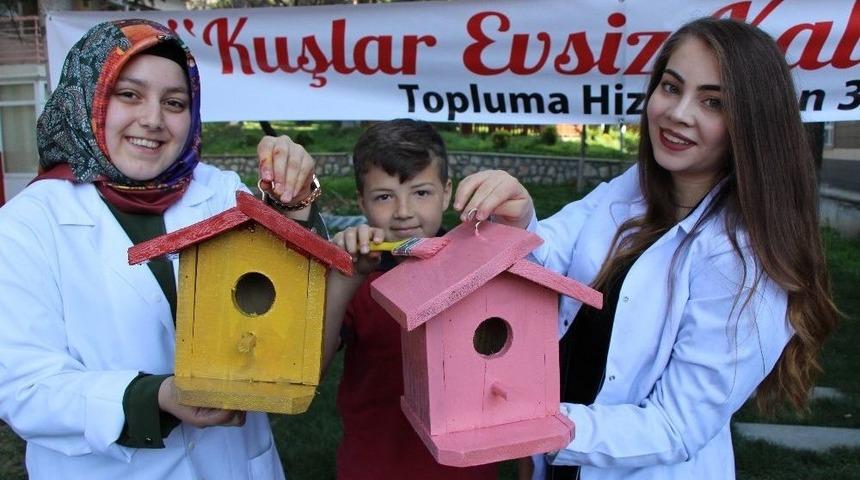 Kuşlar Evsiz Kalmasın