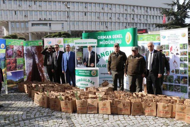 Ormancılık Haftası Kutlandı