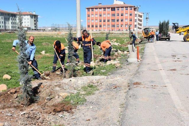 Nusaybin Kayyumla Yenileniyor