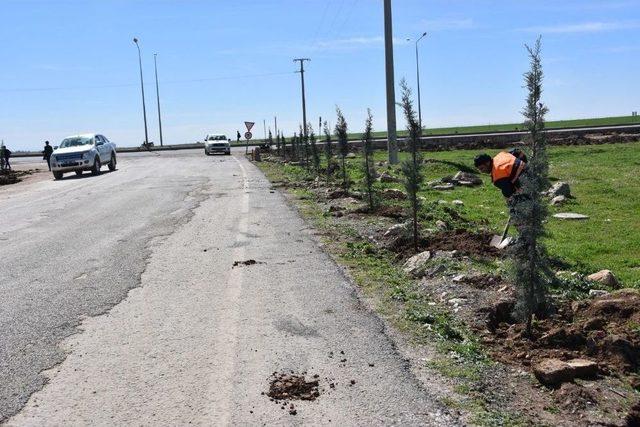 Nusaybin Kayyumla Yenileniyor