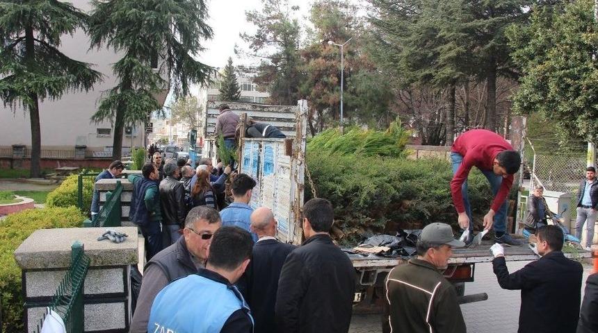 Bucak&rsquo;ta &Uuml;cretsiz Fidan Dağıtıldı