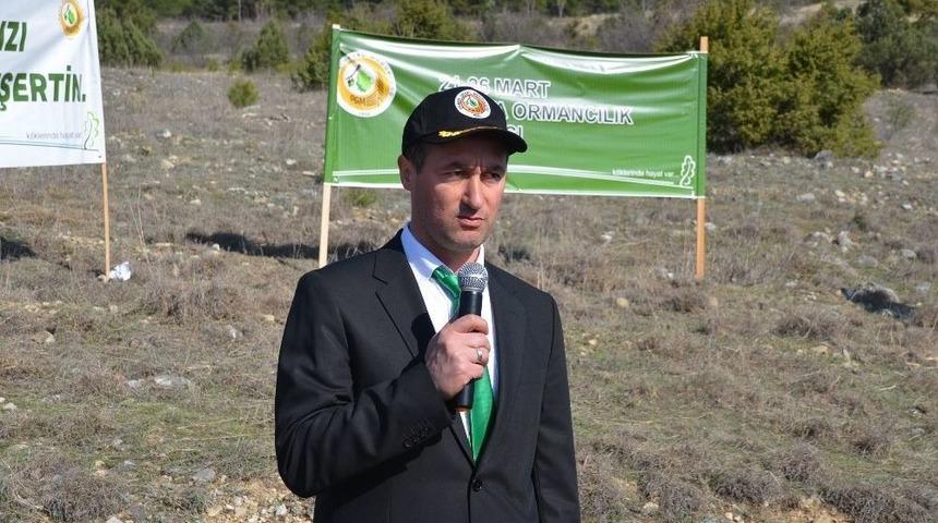 Kargı’da 250 Fidan Toprakla Buluşturuldu