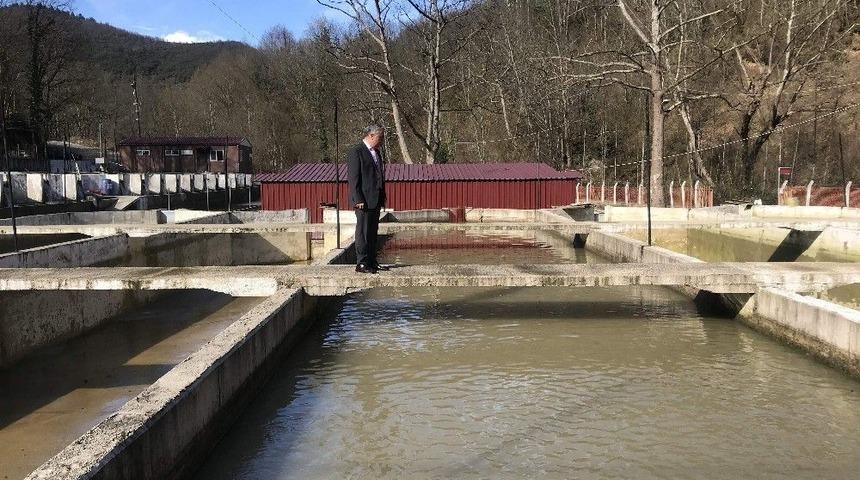 Tarım M&uuml;d&uuml;r&uuml; Şahin, Balık &Uuml;retim Tesisinde İncelemelerde Bulundu