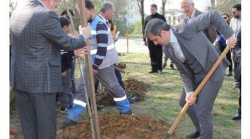 Başkan Yemenici Orman Haftasını Kutladı