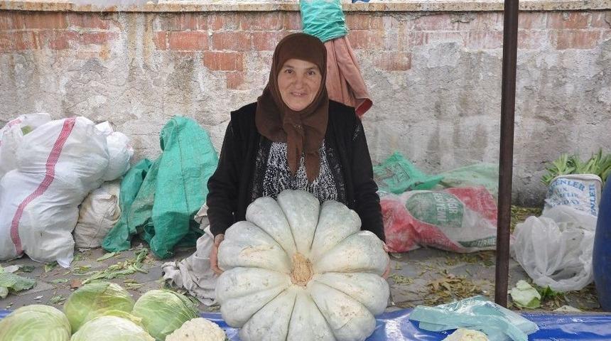 Kırkağa&ccedil;&rsquo;ta 32 Kiloluk Dev Kabağa B&uuml;y&uuml;k İlgi