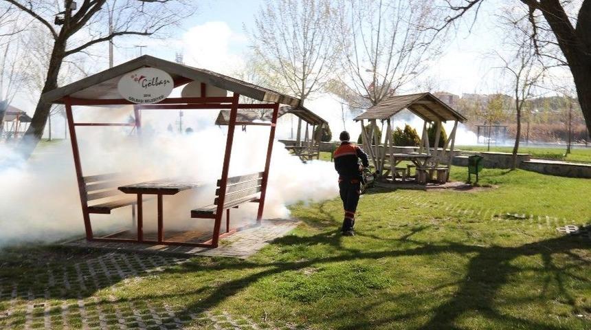 G&ouml;lbaşı Belediyesi İla&ccedil;lamalarını S&uuml;rd&uuml;r&uuml;yor