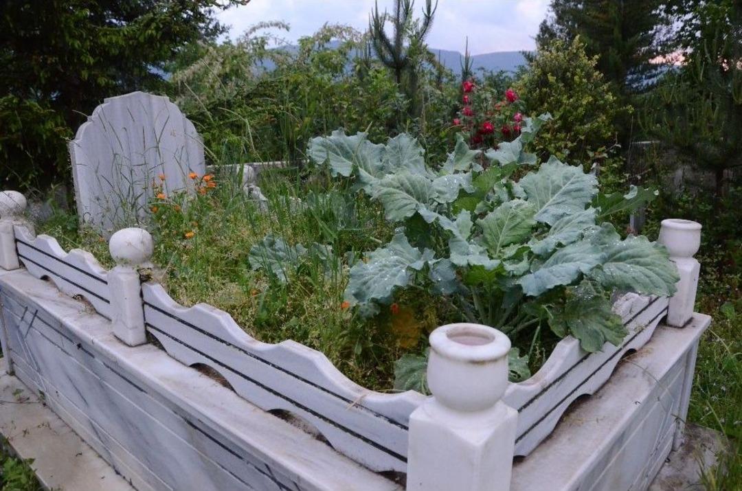 Karadenizlinin &lsquo;karalahana&rsquo; Aşkı