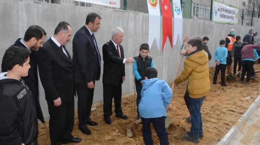 &Ouml;ğrenciler Ihlamur Fidanı Dikti