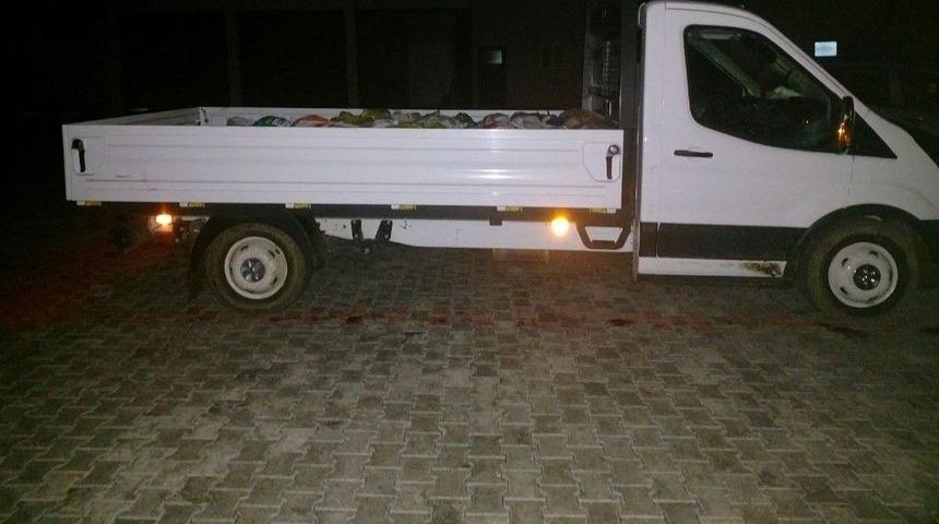 Muradiye&rsquo;de 3 Ton İnci Kefali Balığı Ele Ge&ccedil;irildi