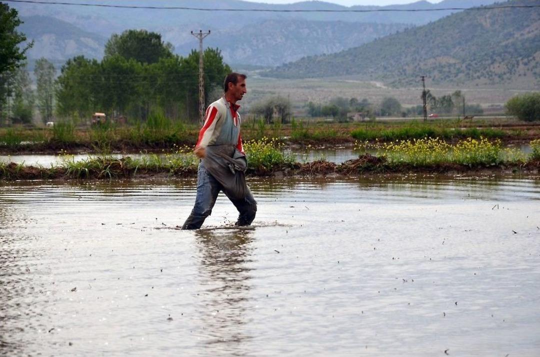 &Ccedil;eltik &Uuml;reticilerine Ruhsat Uyarısı