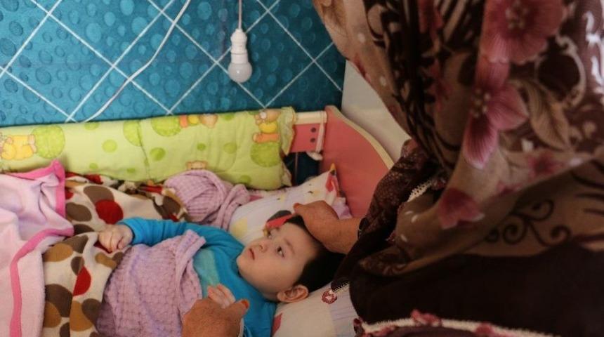 Şırınga İle Beslediği Torunu İ&ccedil;in Yardım Bekliyor