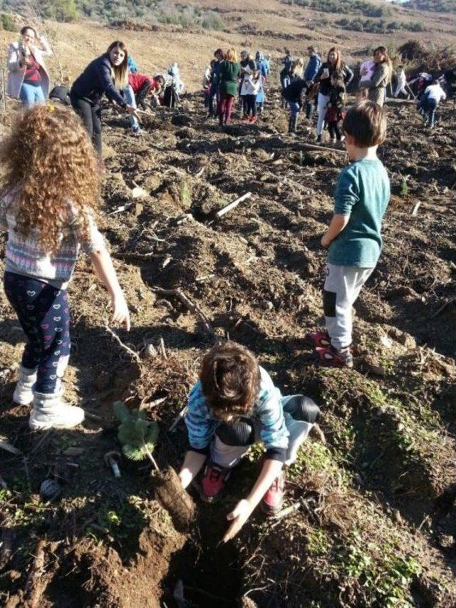 B&ouml;yle 24 Kasım Hediyesi G&ouml;r&uuml;lmedi 3