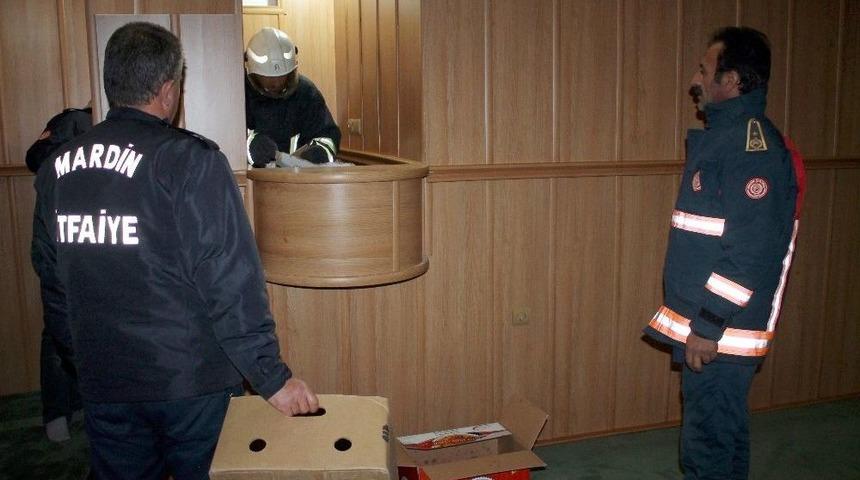 Camide Doğuran Kedi Ve Yavruları İtfaiyeciler Tarafından Başka Yere Nakledildi