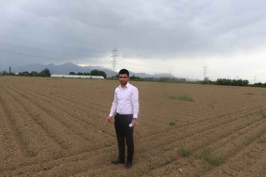 Antbirlik&rsquo;in Desteklediği &Ccedil;ift&ccedil;i Pamuğa Y&ouml;neldi