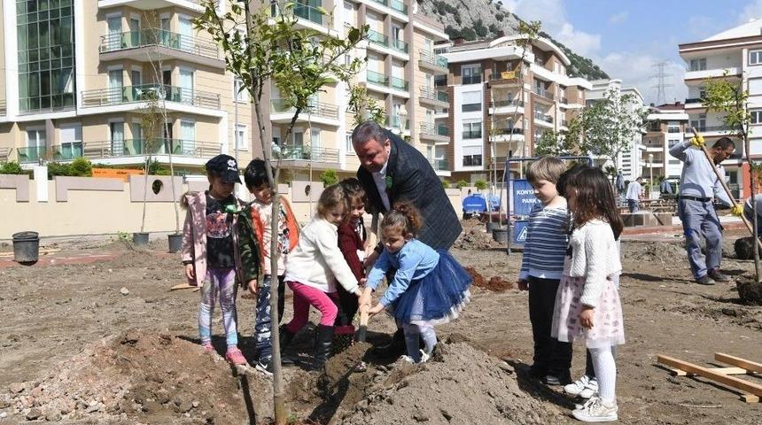 Başkan Böcek, Minik Öğrencilerle Turunç Dikti