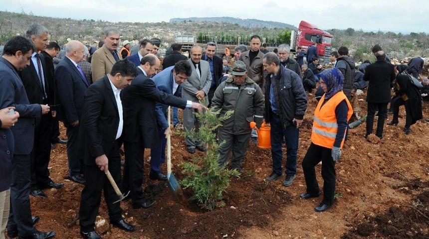 Erdemli&rsquo;de &Ouml;ğretmenlerin De Hatıra Ormanı Var