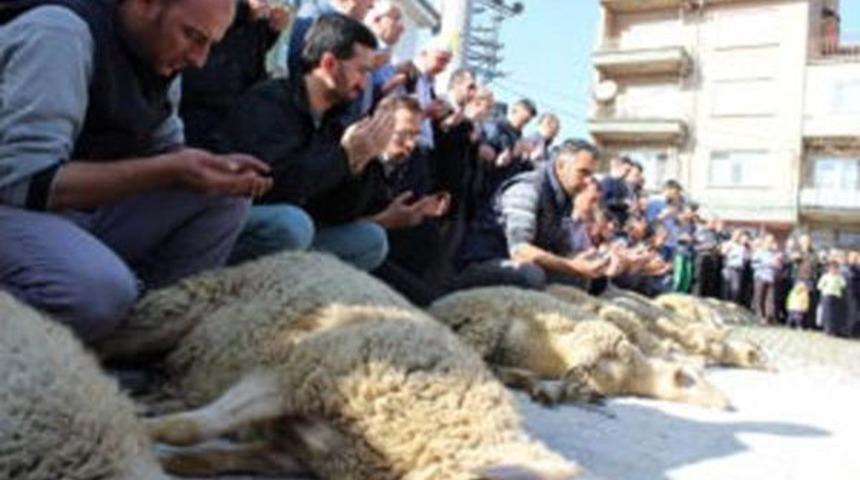 Tavşanlı İl&ccedil;esinde 1 Yıl İ&ccedil;erisinde Aynı Mahalleden 4 Halil Trafik Kazasında Hayatını Kaybetti