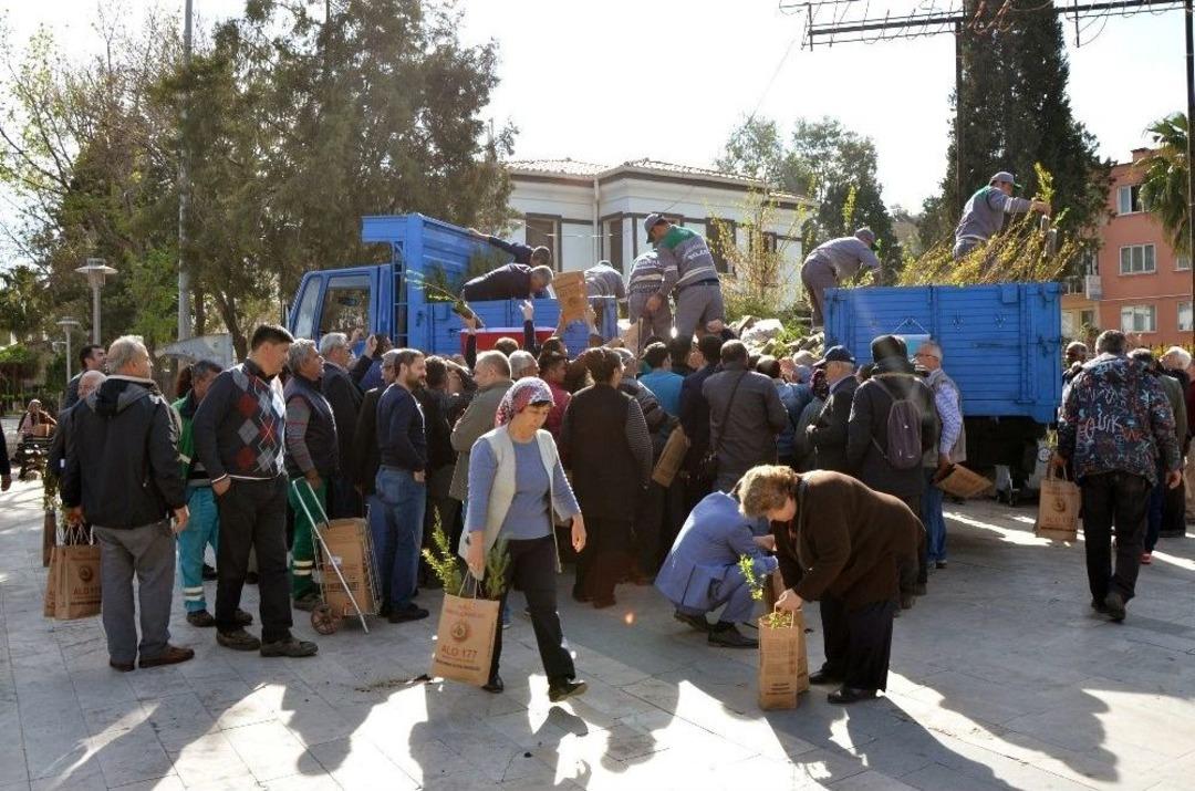 Milas&rsquo;ta 8 Bin Fidan Dağıtıldı