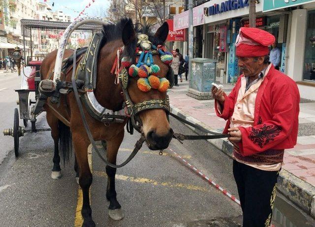 Festivalde At Huysuzlandı, Şehzadeler Yaya Kaldı