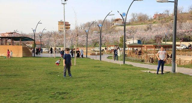 Galip Demirel’e Çınar Park’a Vatandaşlardan Yoğun İlgi