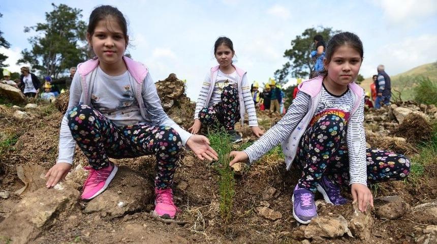 Ormancılık G&uuml;n&uuml;